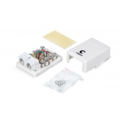 WS-6P4C-TEL-2 | Фото 1