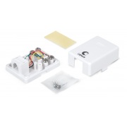 WS-6P4C-TEL-1 | Фото 1