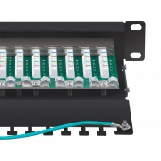 PL-12-Cat.6 10"-SH-Dual | Фото 3