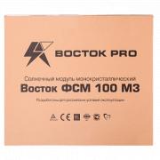 Восток ФСМ 100 М3 | Фото 4