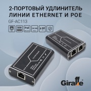 GF-AC113 | Фото 4