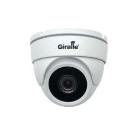 Giraffe GF-IPVIR4305MP2.0 v2 (2.8)