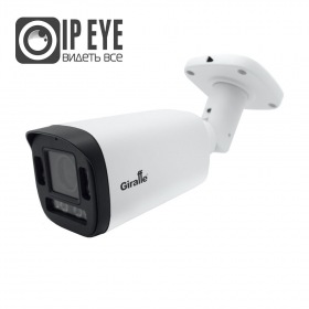 Giraffe GF-IPIR4352MP2.0-VF c сервисом IPEYE