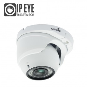Giraffe GF-IPVIR4305MP2.0-VF с сервисом IPEYE