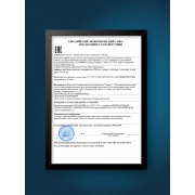 Датчик протечки Welrok dpp3 | Фото 11