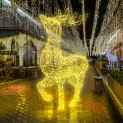 Фигура объемная «Северный олень» 300х200 см, 3000 LED, IP65, цвет свечения теплый белый NEON-NIGHT | Фото 7