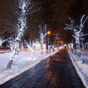 Гирлянда «LED Клип-лайт» 12 V, прозрачный ПВХ, 150 мм, цвет диодов Белый Flashing (Белый) | Фото 1