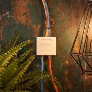 Комбинированная розетка накладная тел. + комп. RJ-11+RJ-45 REXANT | Фото 2
